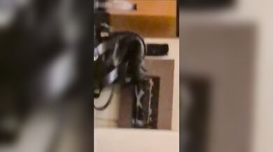 Corno gravou sua mulher fodendo com dotado