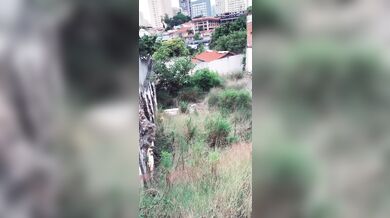 Baby Leviatan fazendo boquete no meio do mato